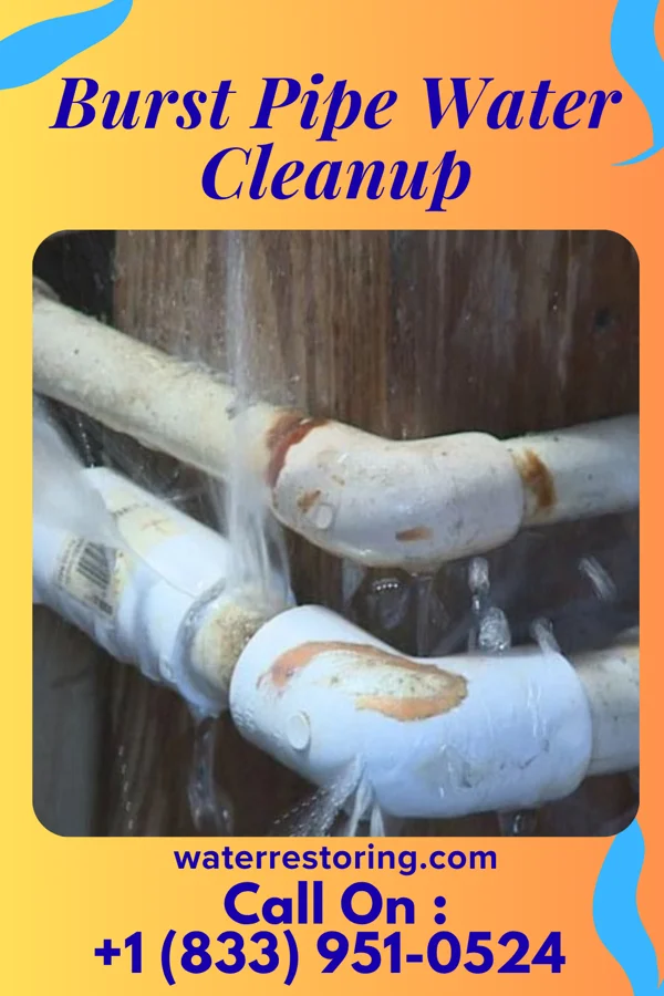 Burst Pipe Water Cleanup in Columbia, MS