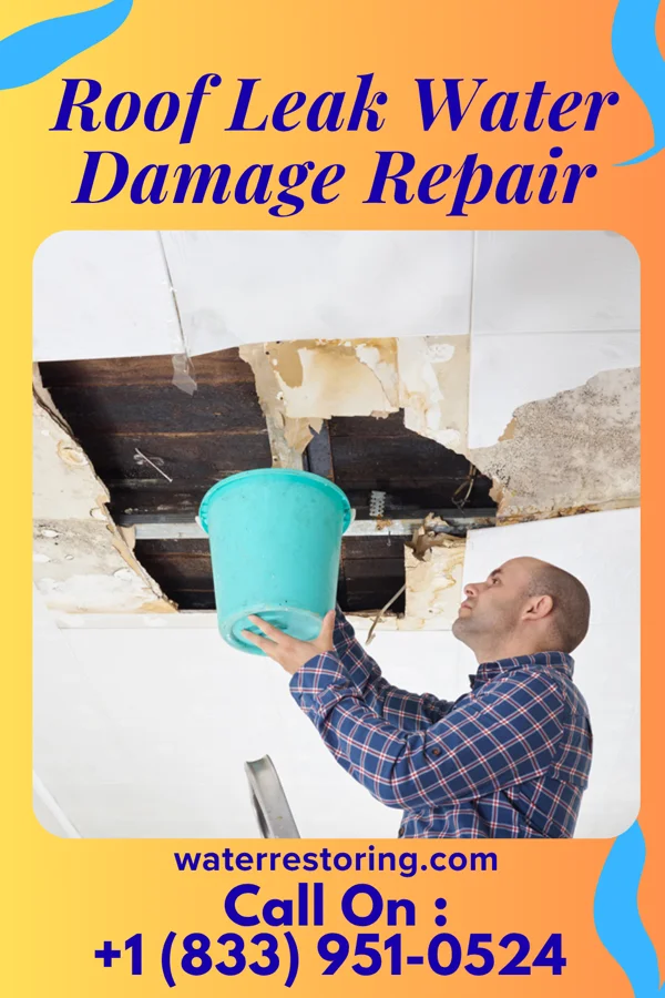 Roof Leak Water Damage Repair in Columbia, MS